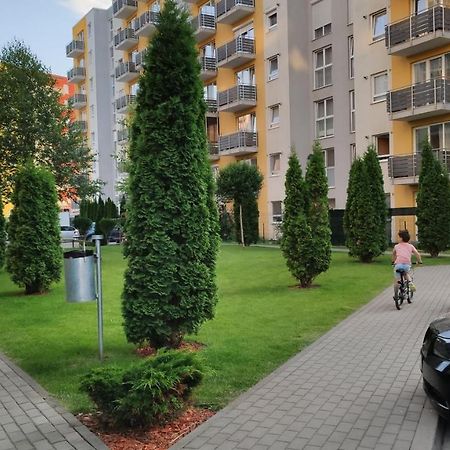 Brasov Kronstadt Garden Studio Exterior photo